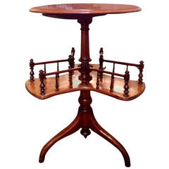 Antique Bookcase 2