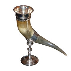 Used English Trophy Horn