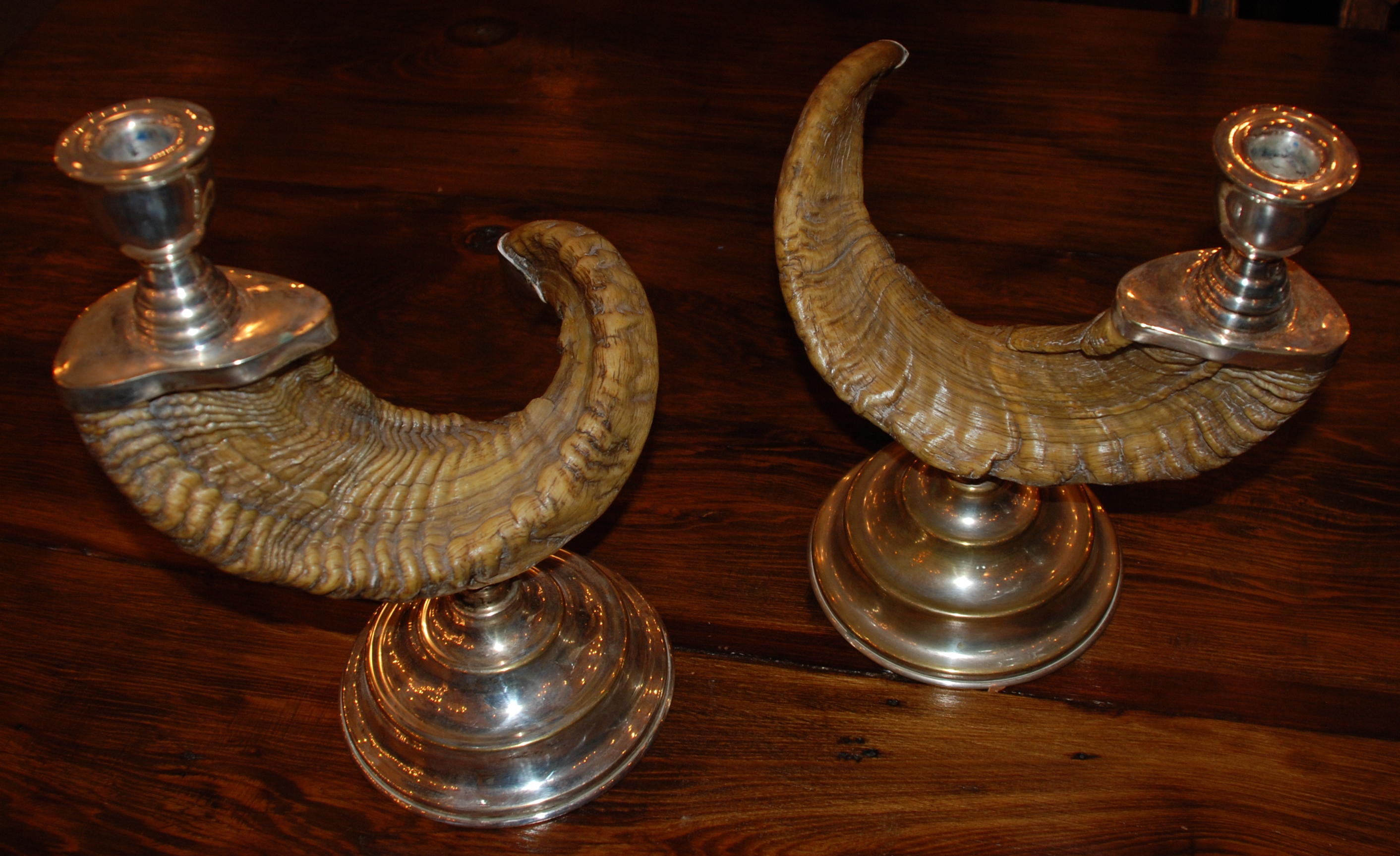 Pair of Silver plated Ram Horn Candlesticks