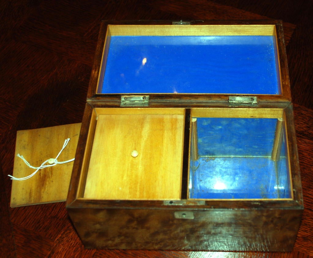 English Antique Walnut Tea Caddy