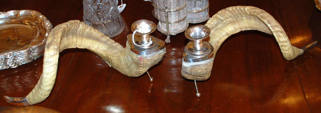 20th Century Pair of Antique Ram Horn Candle Holders