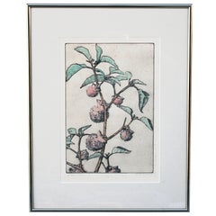 Antique Etching By Bertha E Jacques, Jimson Weed