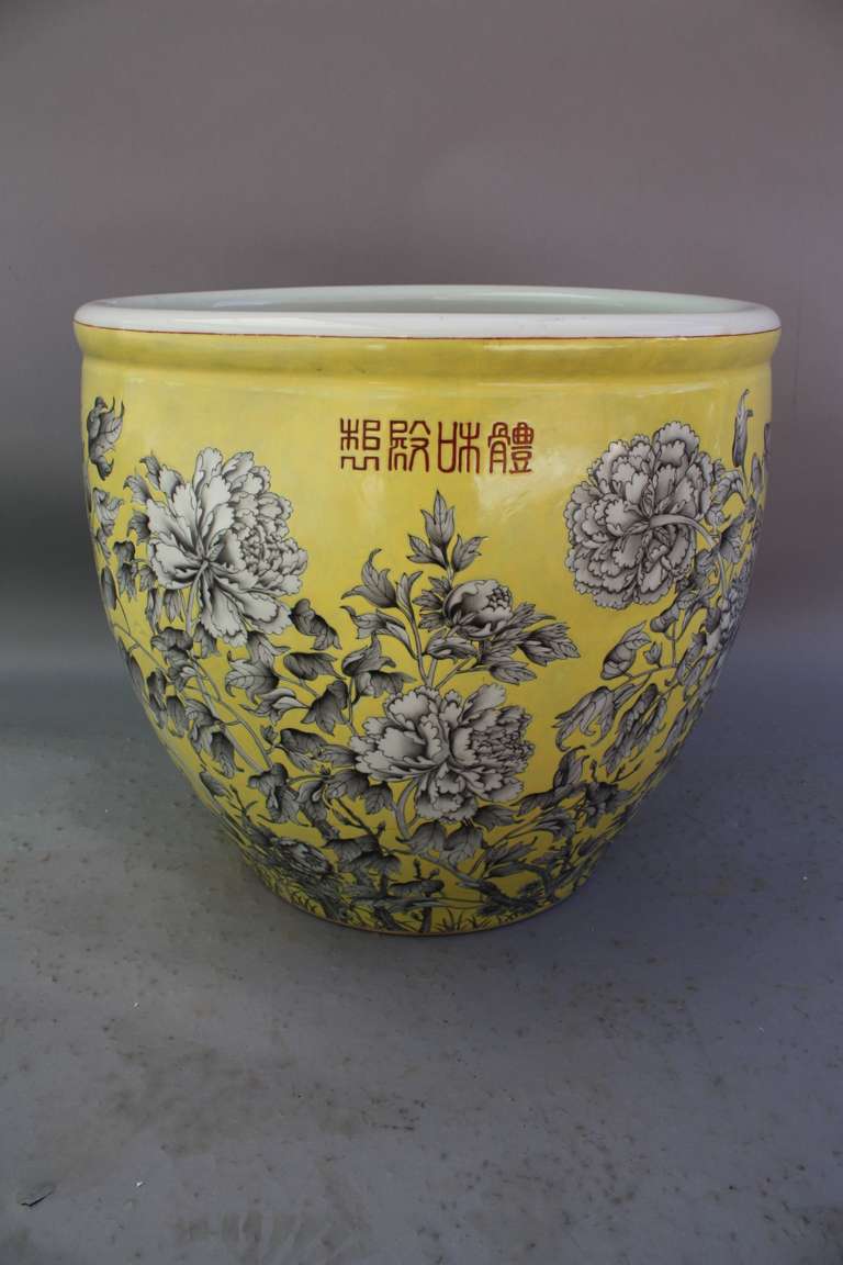 Chinese fish bowl, black grisaille decoration of peony blooms on enameled yellow ground, Guangxu period hallmark on rim. 1875-1908 Good condition. Measures 18 1/2