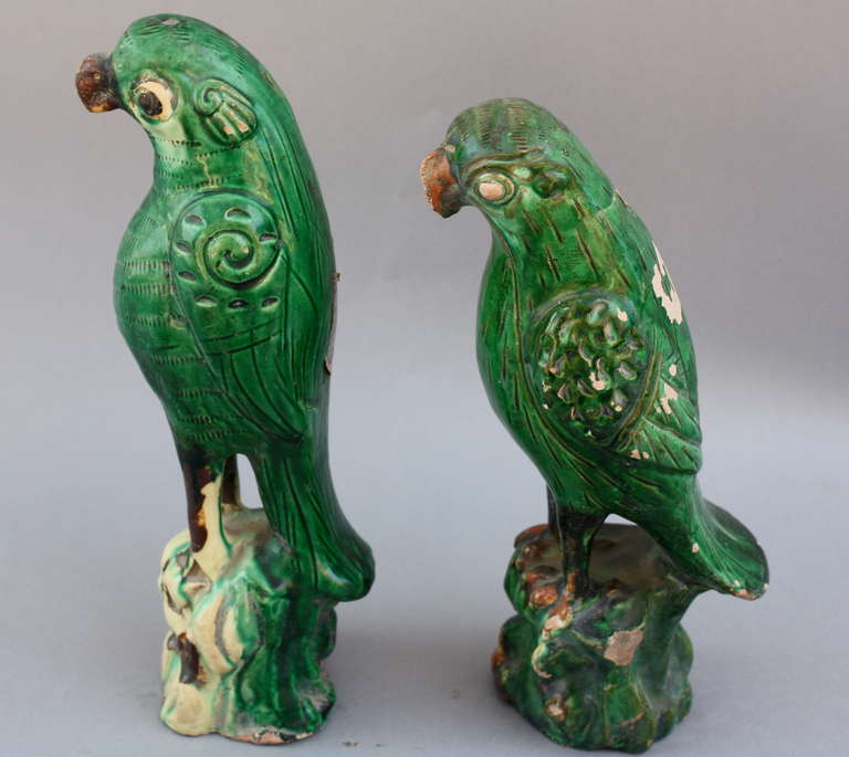 Ching Dynasty Pair of Parrots In Good Condition In Pasadena, CA
