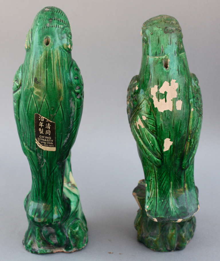 Ching Dynasty Pair of Parrots 1