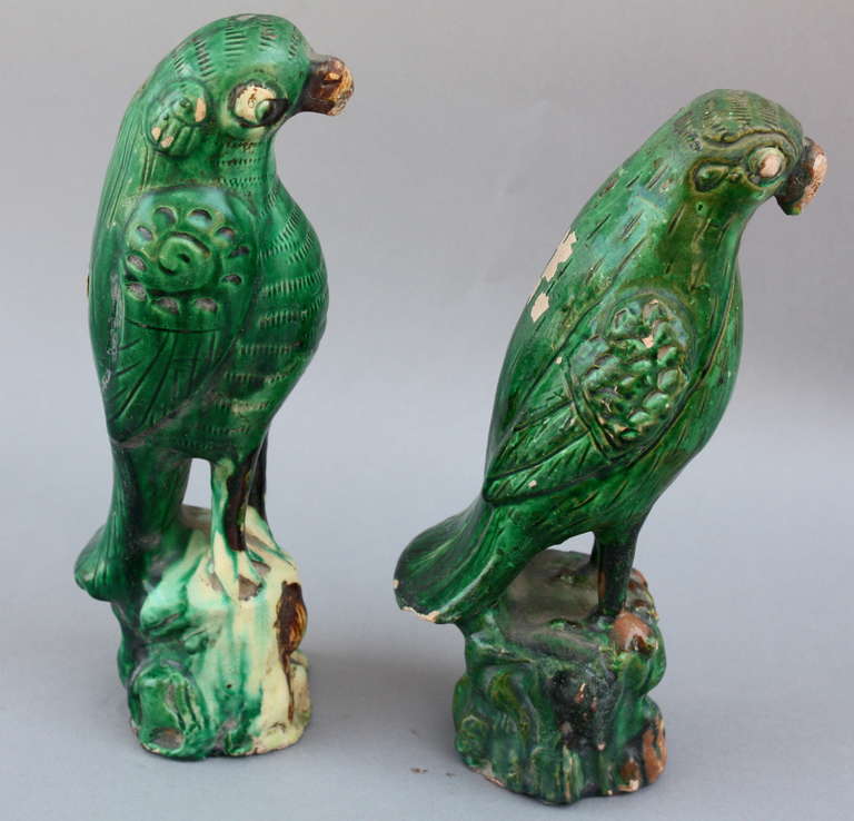19th Century Ching Dynasty Pair of Parrots