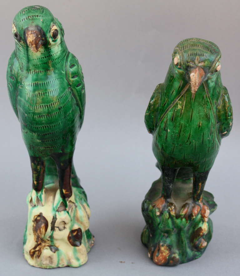 Chinese Ching Dynasty Pair of Parrots