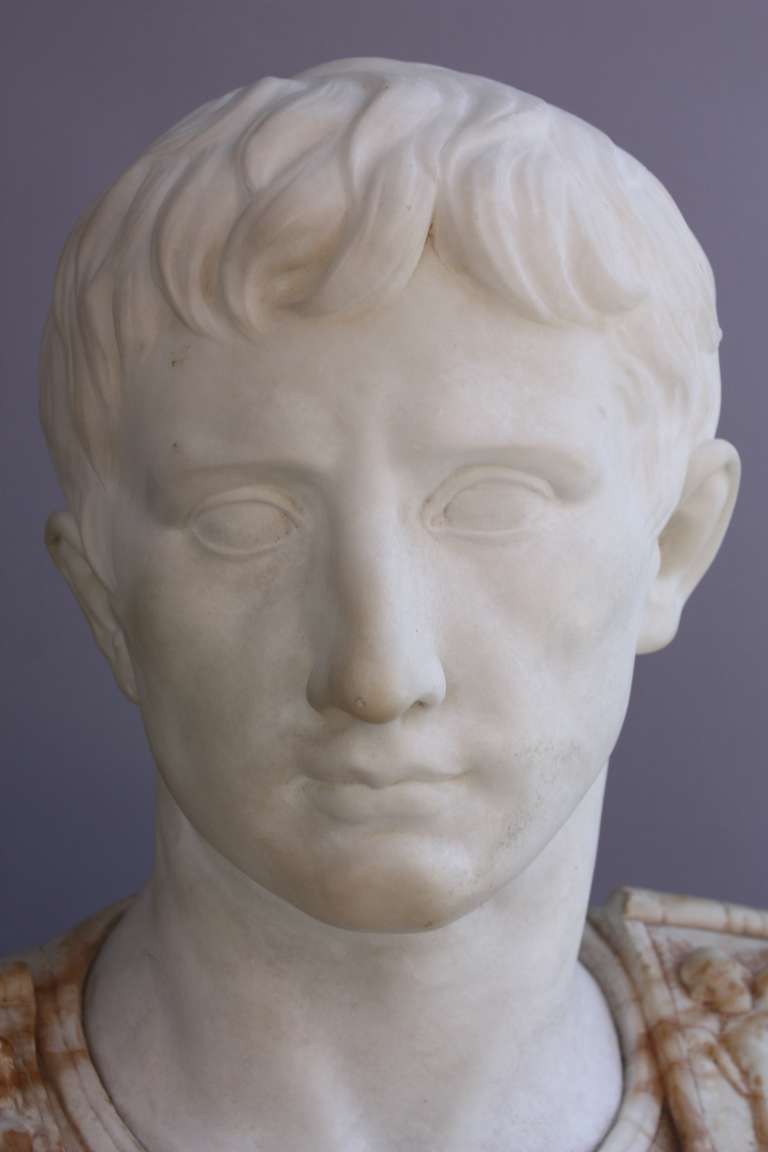 1880s Marble Bust Of Caesar 2