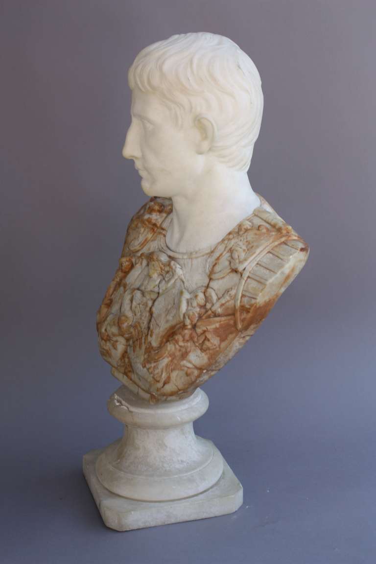 1880s Marble Bust Of Caesar 1