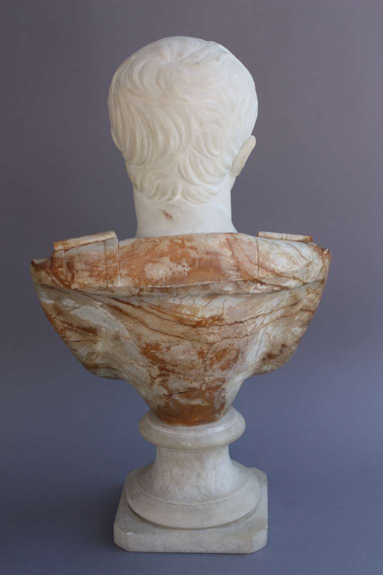 1880s Marble Bust Of Caesar 3