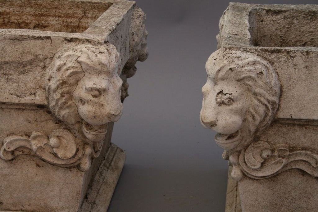 Pair of Early 20th Century Square Planters w/Lion Heads