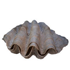 Antique Large Natural Double Clam Shell.
