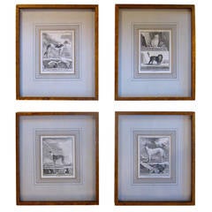 Collection of Four French Animal Engravings