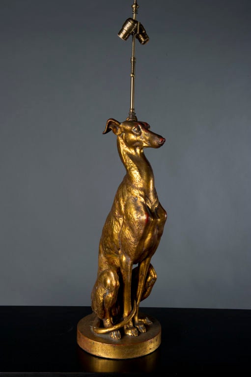 Almost life size-- with a classic Italian gold finish, this greyhound figure is made of wood and composite, converted to a lamp. Wiring and lamp fixture are new.