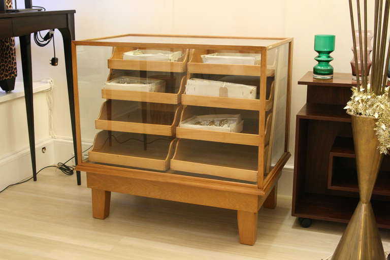 1950s English Display Unit In Good Condition In London, GB