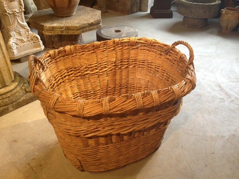 Baskets such as these are few and far between!  Dating to the late 19th C and still retaining its original wooden runner feet, this beautiful hand-woven willow basket was originally used to collect champagne grapes from the vineyards near Reims in