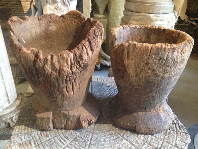 This very early and very beautiful pair of wooden vessels date from at least the 18th century and most probably, a lot earlier. Hand-carved from single pieces of wood (we think they may be chestnut), they feature a stunning, time-worn surface and