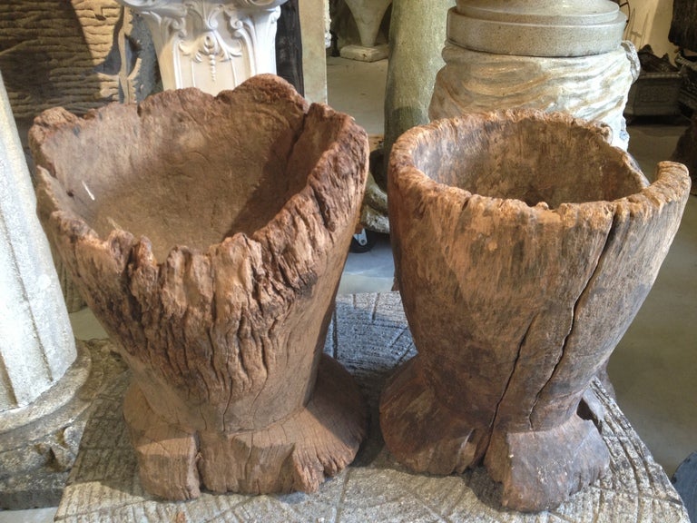 Ancient French Wooden Vessels or Mortars For Sale 3