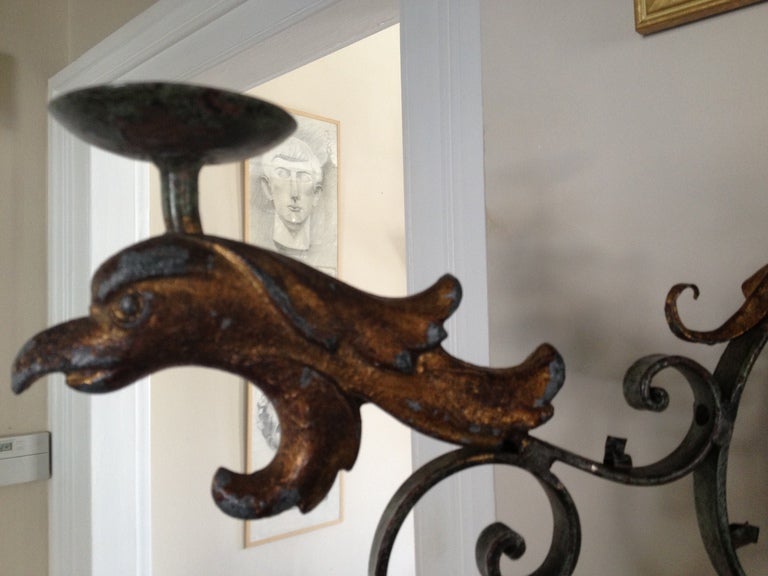 Wrought Iron Pair of Decorative French Griffin Candle Sconces