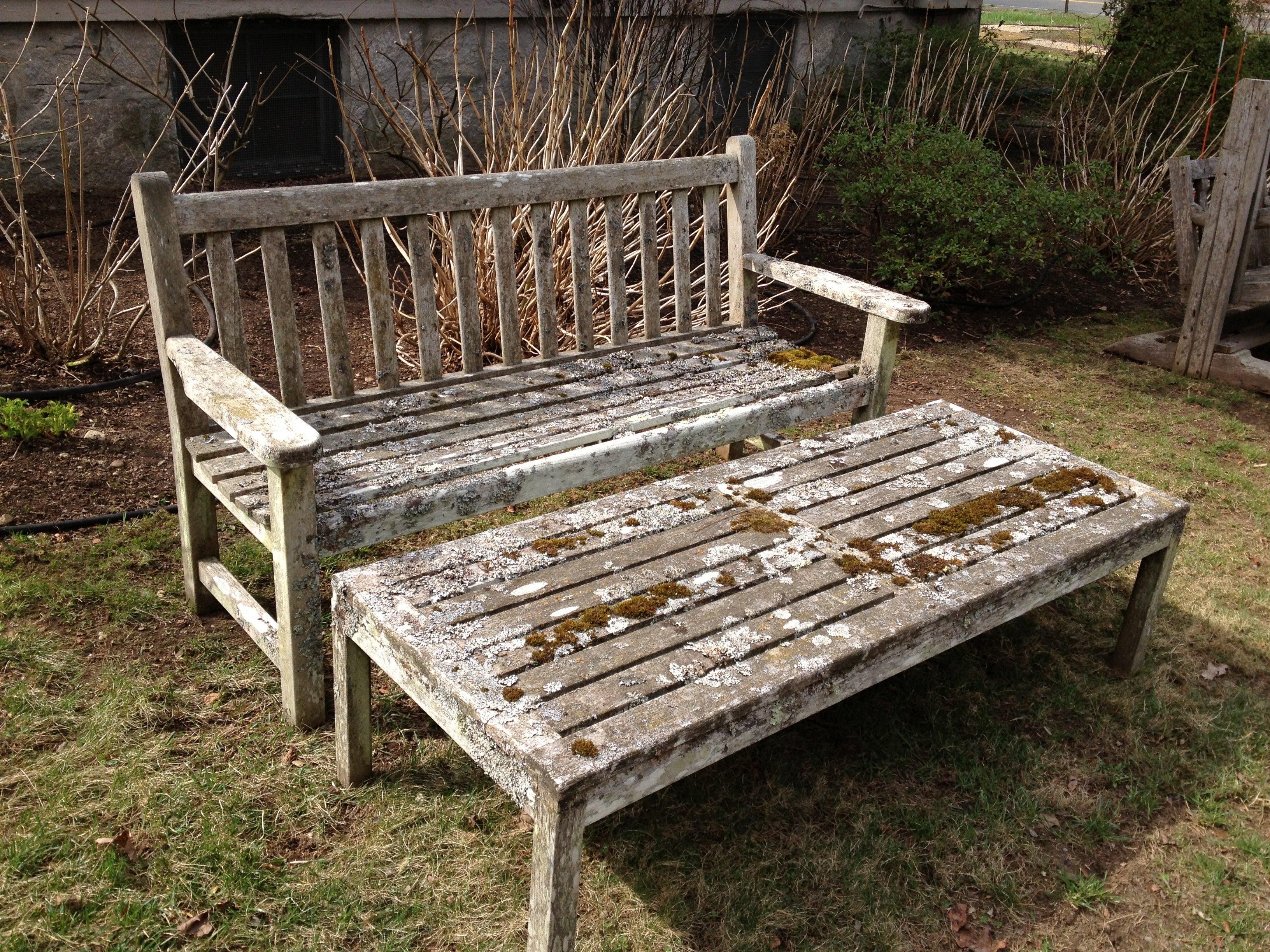 Lichen-Encrusted Teak Bench and Coffee Table