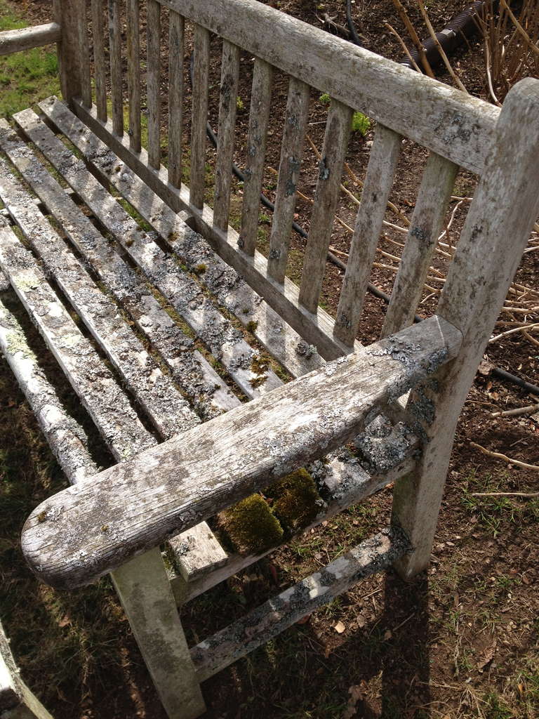 British Lichen-Encrusted Teak Bench and Coffee Table