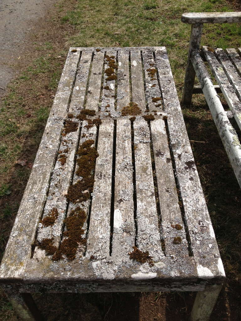 Lichen-Encrusted Teak Bench and Coffee Table In Excellent Condition In Woodbury, CT