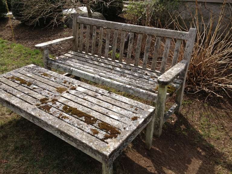 20th Century Lichen-Encrusted Teak Bench and Coffee Table