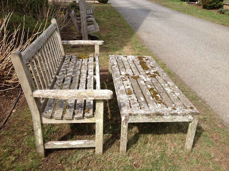 Lichen-Encrusted Teak Bench and Coffee Table 3