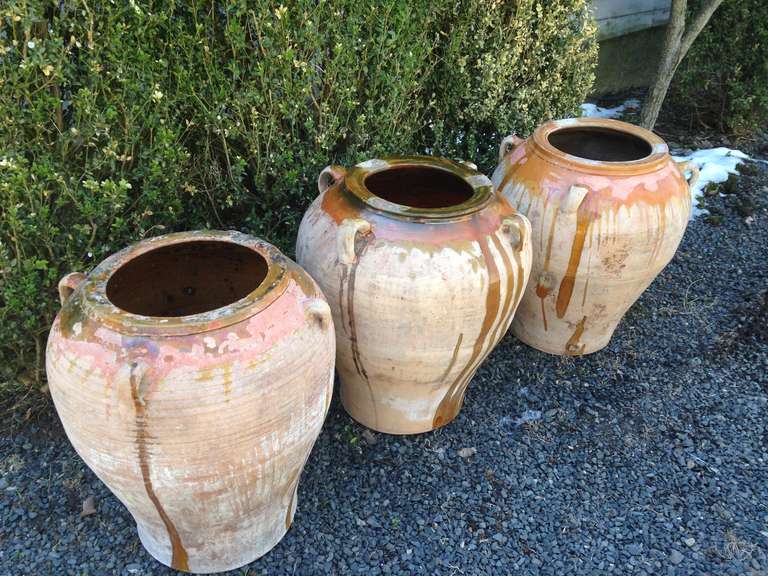 Originally used to hold wine, oil and water, these lovely Amphora are heavy hand-thrown terracotta and feature decorative glazing around the top. The large stripes are actually the signature of the Basque artisans who made them. All are in wonderful