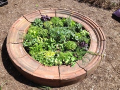 Used Pair of English Terracotta Window Surrounds: Instant Herb Garden