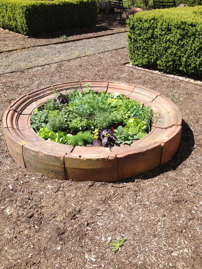 terracotta herb garden