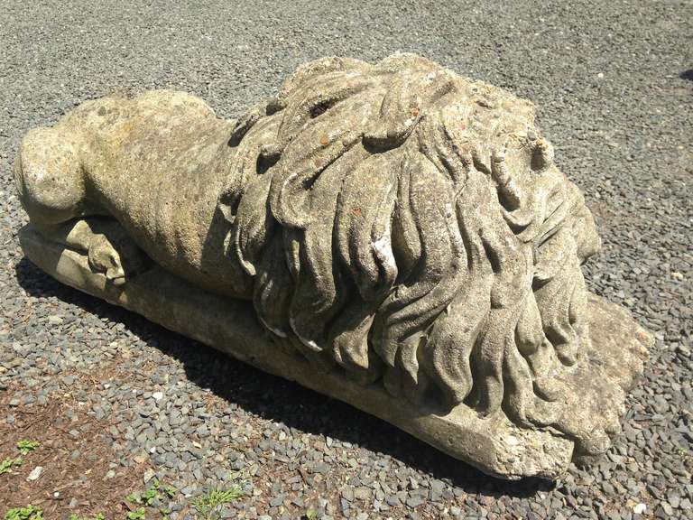 Gorgeous Pair of Large English Stone Lions 1