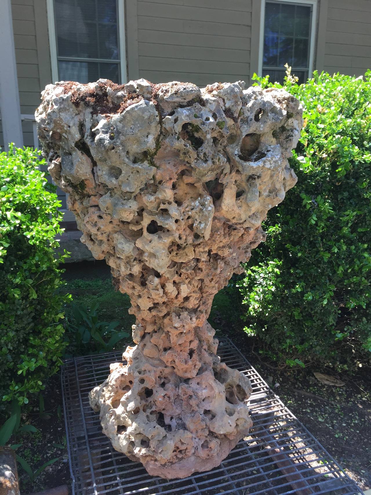 This is truly a unique and remarkable piece! It has been hand-carved from a single piece of volcanic rock from the Auvergne region of France (land of ancient dormant volcanos) and has a deep planting well made from cast stone that was added at a