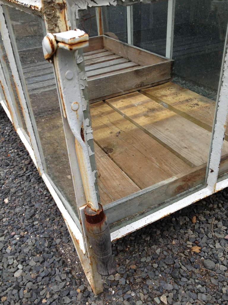 Iron Edwardian-Style Portable Greenhouse Cart