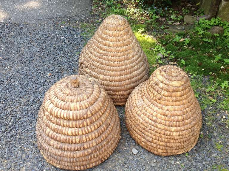 We bought these wonderful and all original French bee skeps in the Southwest of France, thinking we would make them into pendant lights.  But the honey-do list is overwhelming and so we are happy to sell them as is or, at your request, have them