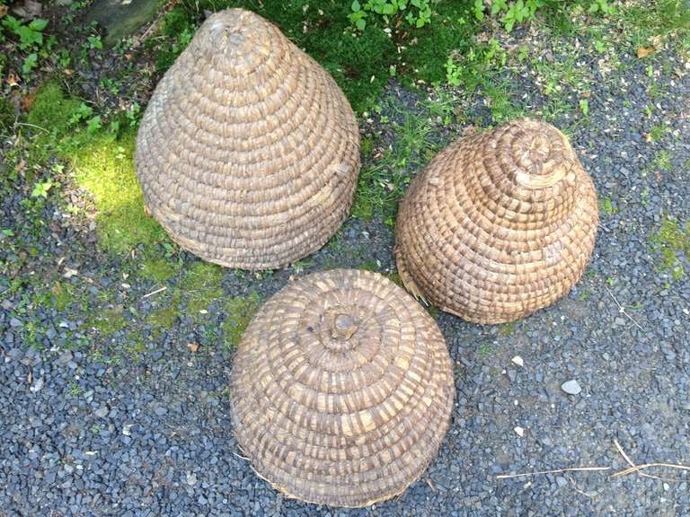 Straw Three Antique Bee Skeps