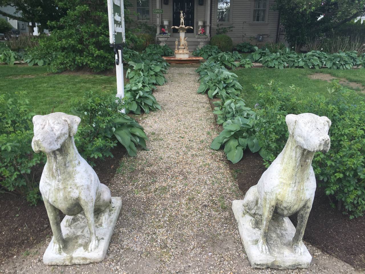 Was für ein tolles Hundepaar! Wir sehen sie nie in dieser Größe und sie haben eine schöne verwitterte Oberfläche und eine gewisse Begrünung ... perfekt:: um einen beeindruckenden Eingang zu flankieren oder Ihren Garten zu bewachen. In perfektem
