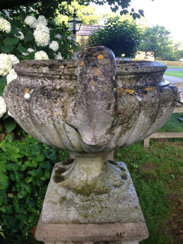 Elegant Near Pair of English Cast Stone Pulham-Style Urns 3