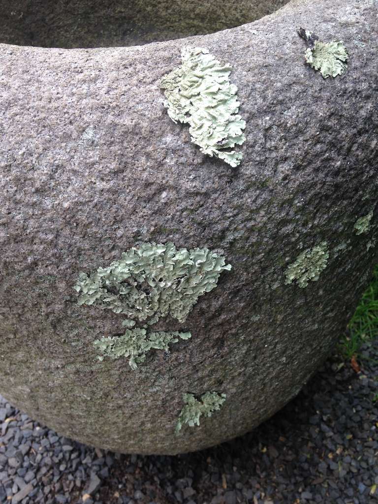 warhol shells granite