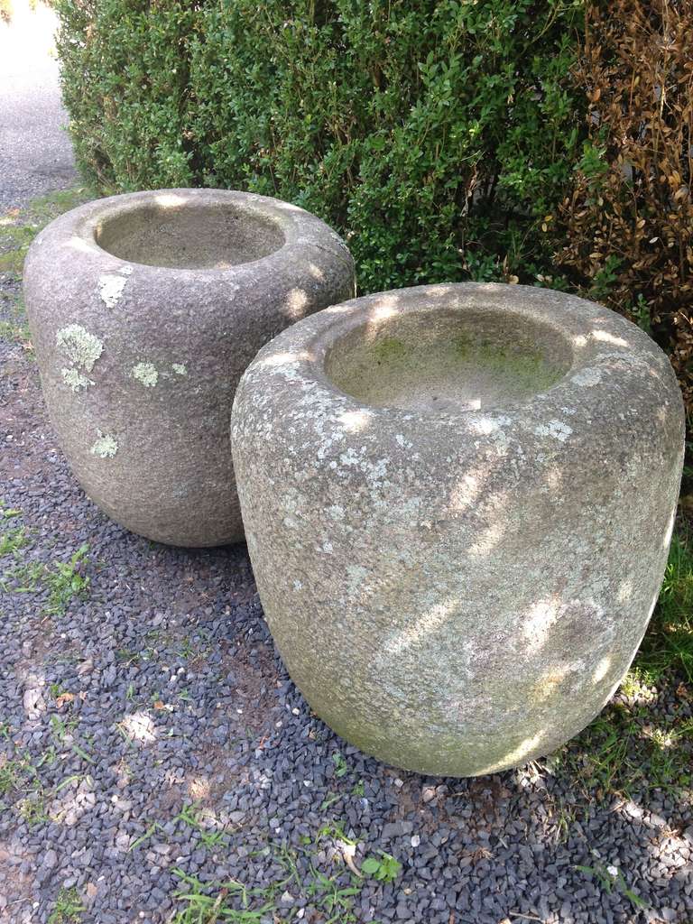 What a find! This very rare pair of Japanese Natsume Tetsubachi dates to the latter half of the Edo Period (1603-1868) and are simply stunning. These were carved in the taller Natsume shape to emulate a jujube fruit, indicating that they were made