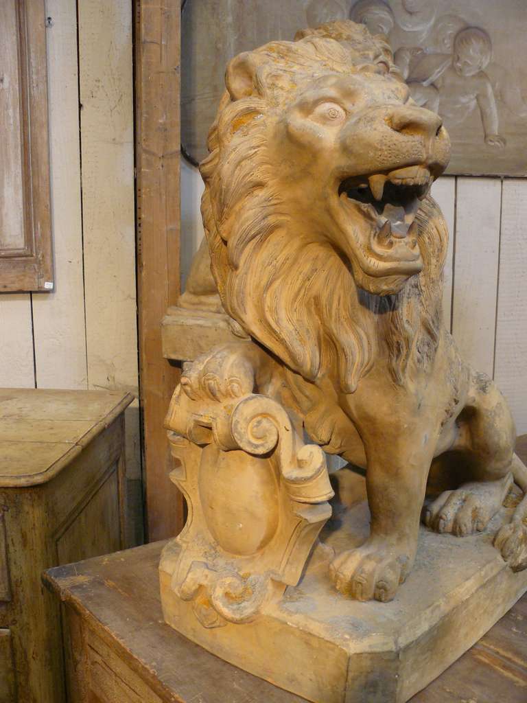 Belle Époque Superb Signed Pair of 19th Century French Terracotta Armorial Lions For Sale