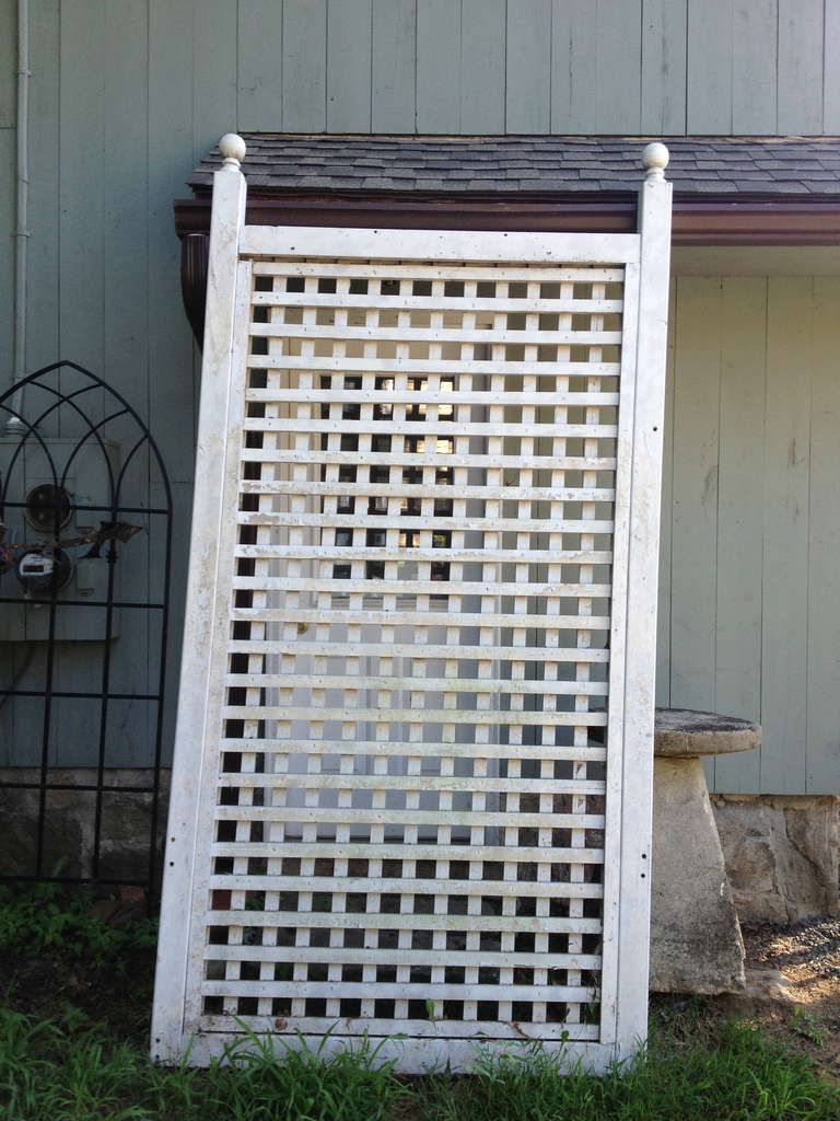 We bought two of these wooden trellises years ago in Chicago and have found use for only one, so this one is up for grabs. Heavy and sturdy, it will support any climber in great style and you can see how it's done with a 20 foot high climbing