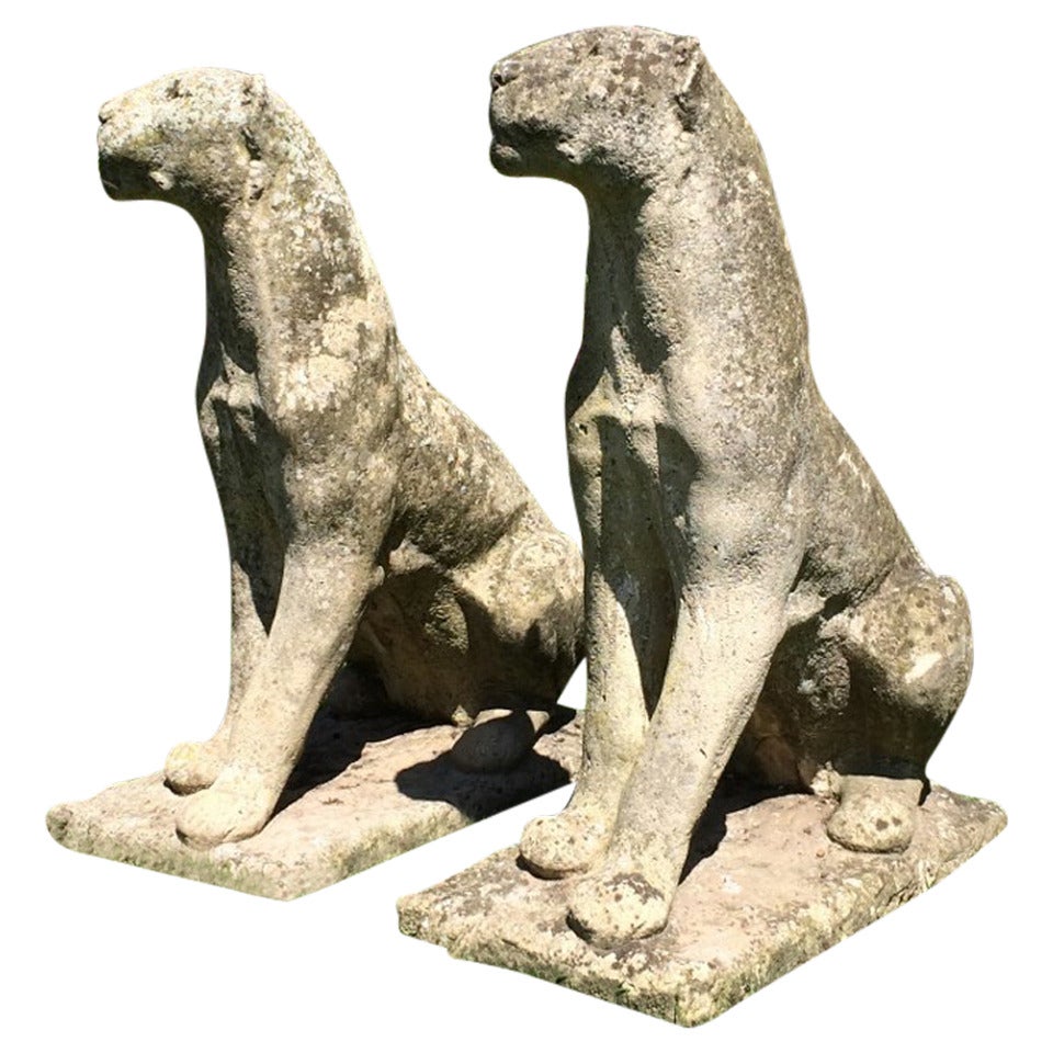 Large Weathered English Cast Stone Jaguars