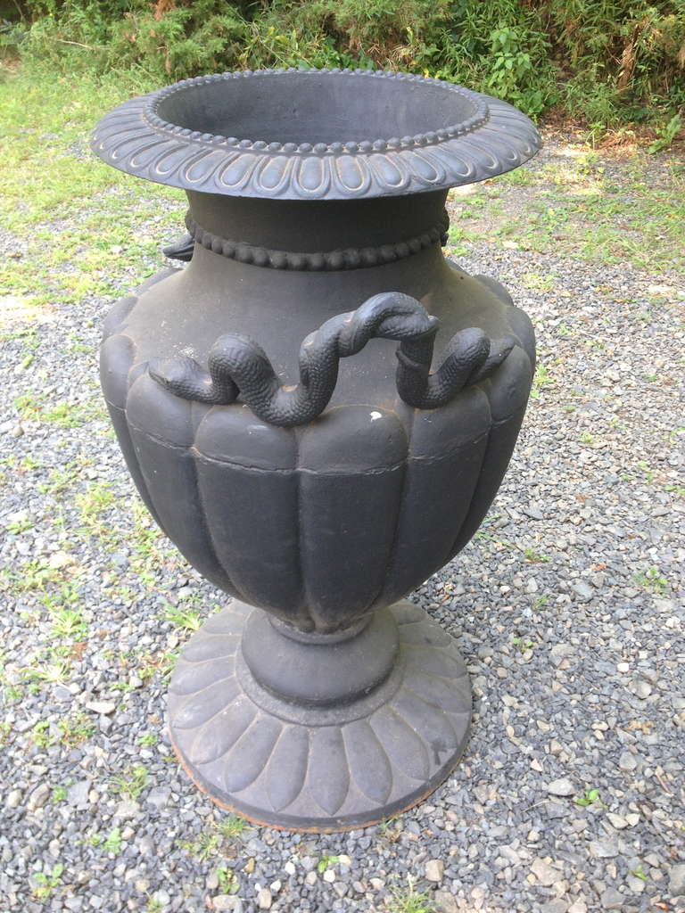 These enormous cast iron urns were removed from the Colgate Estate in Northwestern Connecticut and will make an impressive statement at the entrance of your estate. Very heavy and with entwined snake handles and lotus-form bodies, they have large