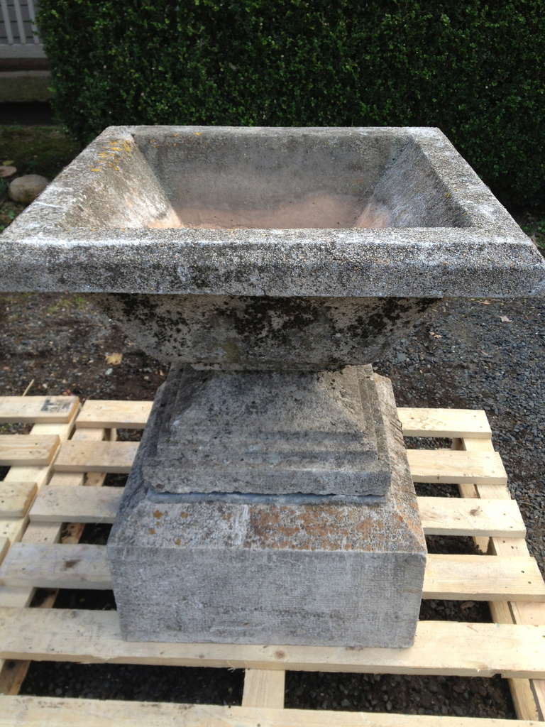 Pair of Estate Sized French Stone Urns