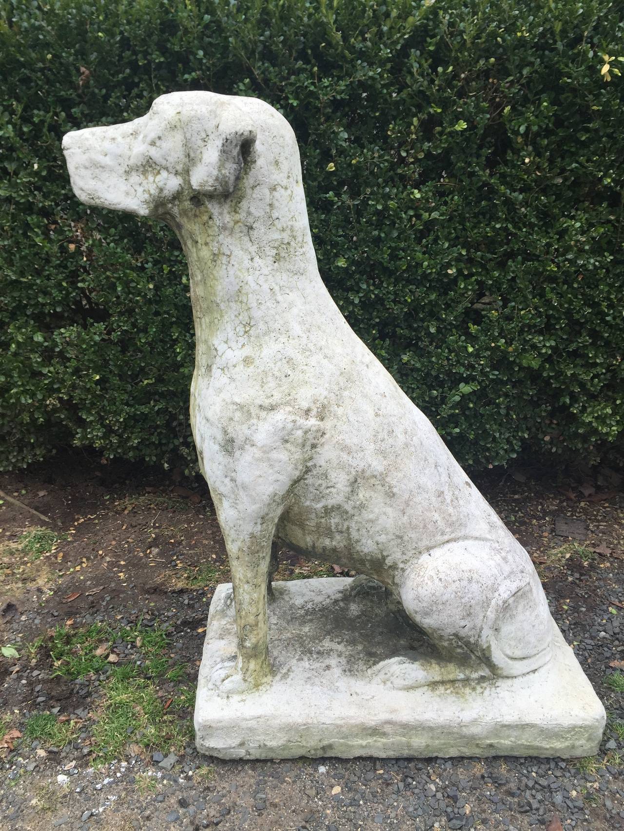 20th Century Huge Pair of English Sentry Dog Statues