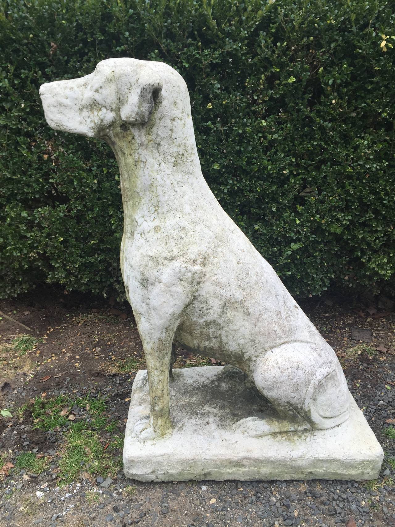 Riesiges Paar englischer Wachhund-Statuen (20. Jahrhundert)