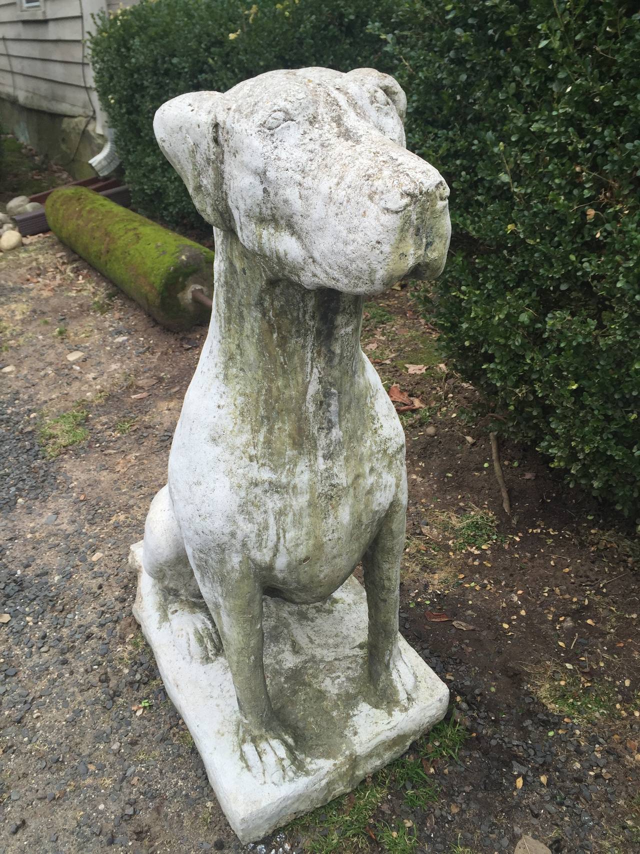 Cast Stone Huge Pair of English Sentry Dog Statues