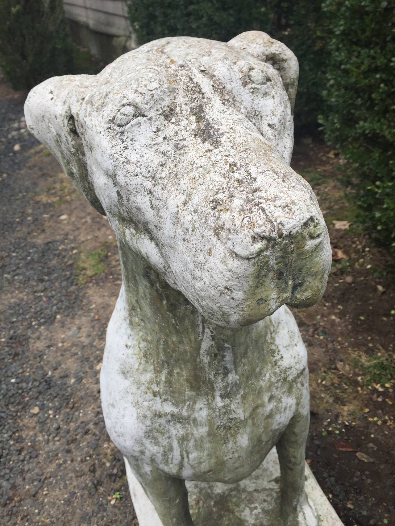 Huge Pair of English Sentry Dog Statues In Excellent Condition In Woodbury, CT