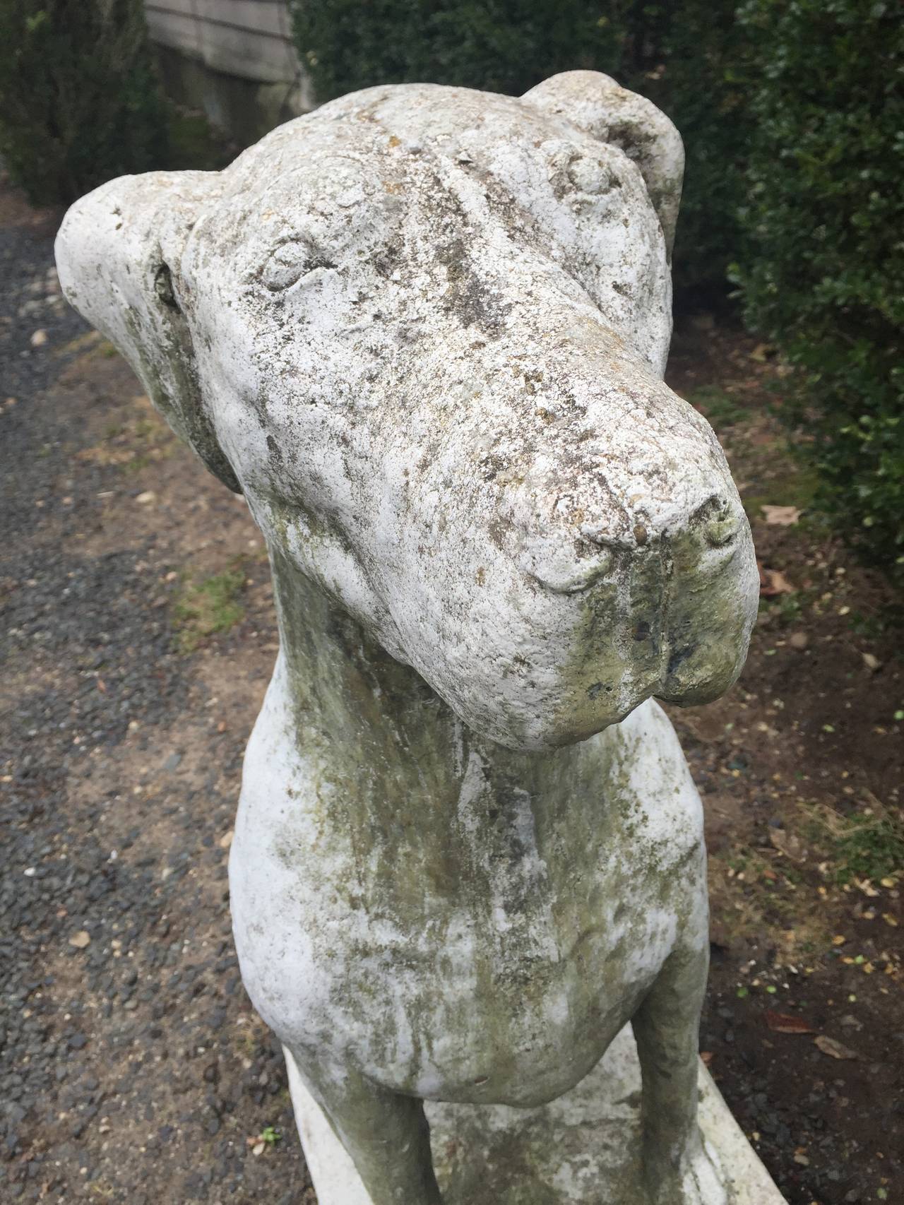 Riesiges Paar englischer Wachhund-Statuen im Zustand „Hervorragend“ in Woodbury, CT